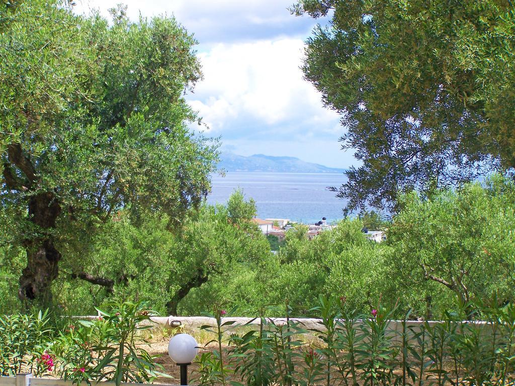 Pouliezos Koklanis Zante Apartments Аликес Екстериор снимка